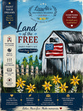 Land of the Free Paint Party Kit